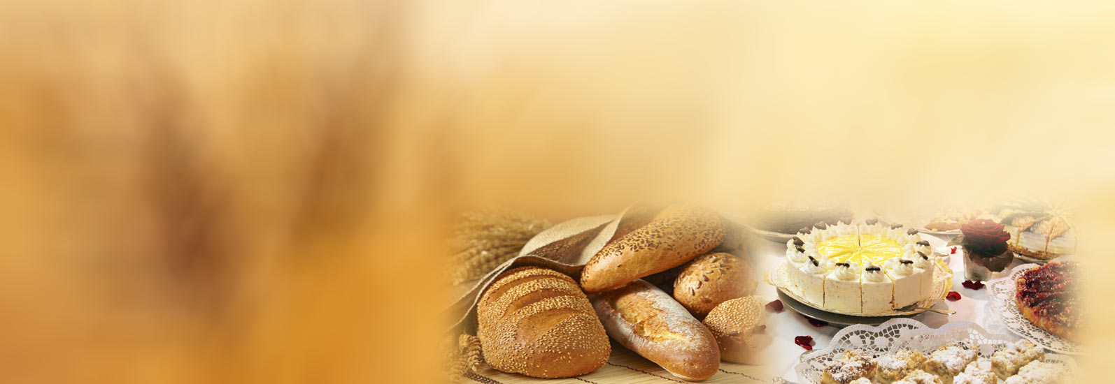 Slide background